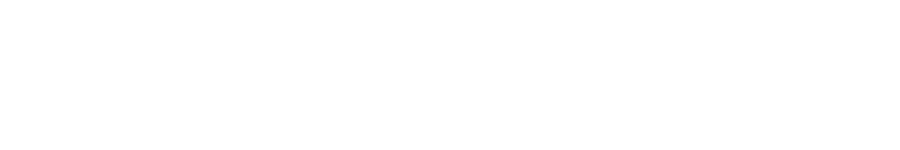 AMNEZIA